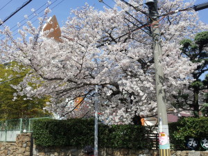 20140401_131719