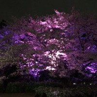 IMG_0204.JPG
