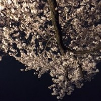 IMG_0206.JPG